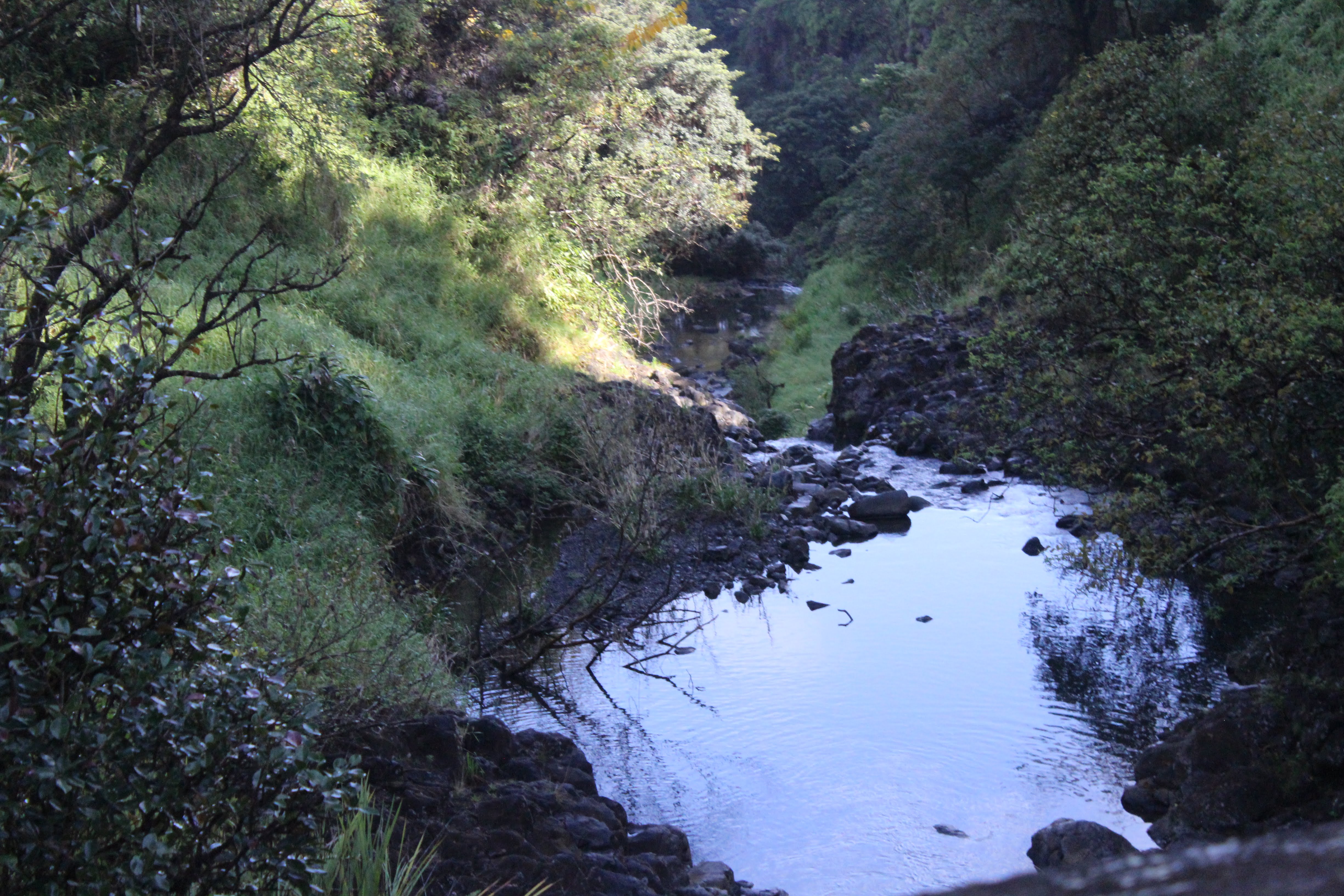 Twelfth slide
